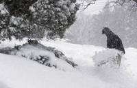 В Черновицкой области из-за снегопада 16 сел уже неделю отрезаны от мира